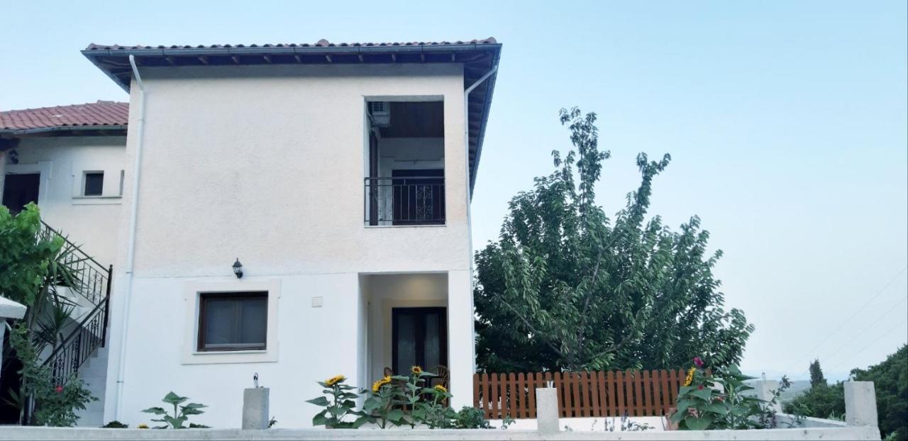 Green View Apartment Ágios Pétros Dış mekan fotoğraf