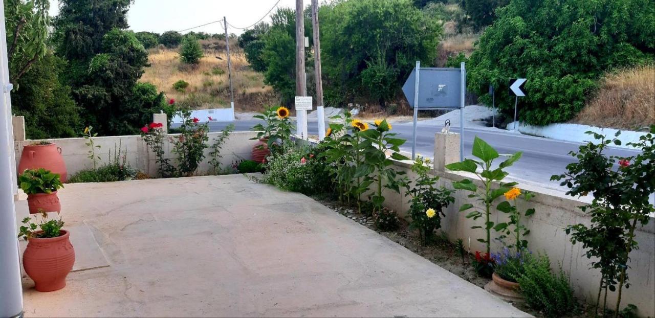 Green View Apartment Ágios Pétros Dış mekan fotoğraf